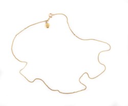 Gold chain with medallion