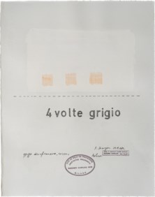 Disinformazione - 4 volte grigio