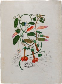 Pisum Sensuale (Cobea, Les Levres, Lips)