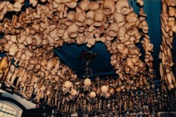 Senza titolo (Strange ritual)