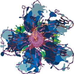 Spirit is a Button Fly