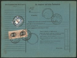 Regno - Segnatasse - Bollettino di spedizione tassato al retro